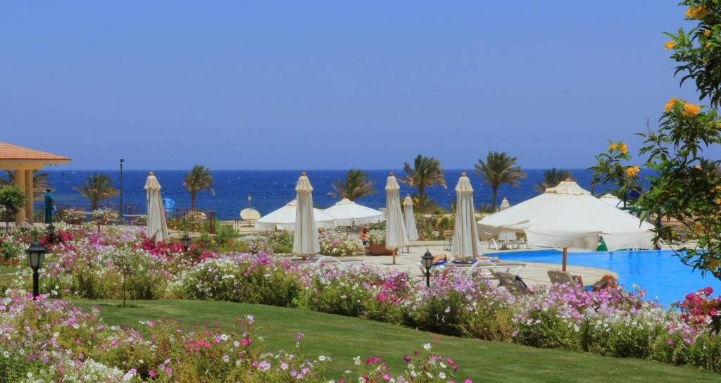 Royal Brayka Beach Resort Abu Dabab Buitenkant foto